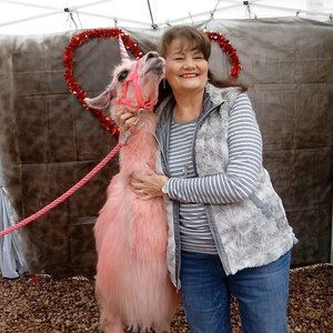 Meet your Posher, Vi